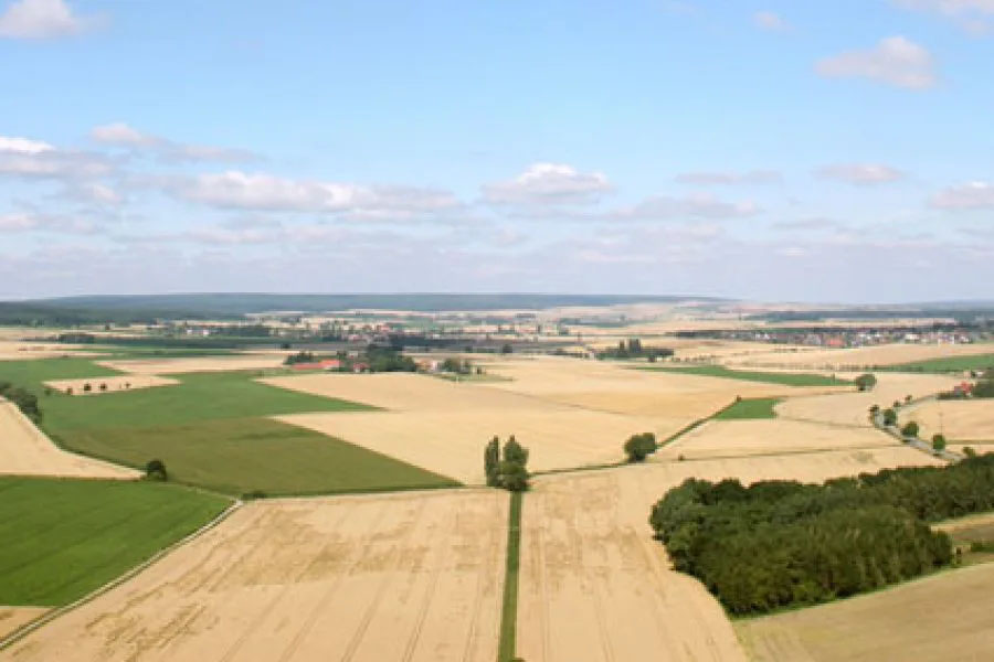 Weitläufige Landwirtschaftslandschaft mit Feldern, Wiesen und einzelnen Baumreihen unter blauem Himmel.