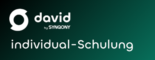david Individual-Schulung